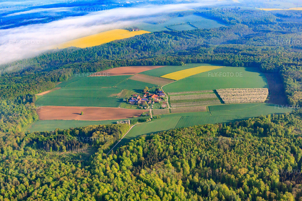 Luftbild: Gehöft eines Bauernhofes Dornbacher Hof - Scheuerle in einer Waldlichtung mit Feldern im Ortsteil Tiefenbach in Gundelsheim im Bundesland Baden-Württemberg in Deutschland. Foto: IMG_57001.jpg vom 08.05.2013 durch Werner Riehm/FLY-FOTO.de