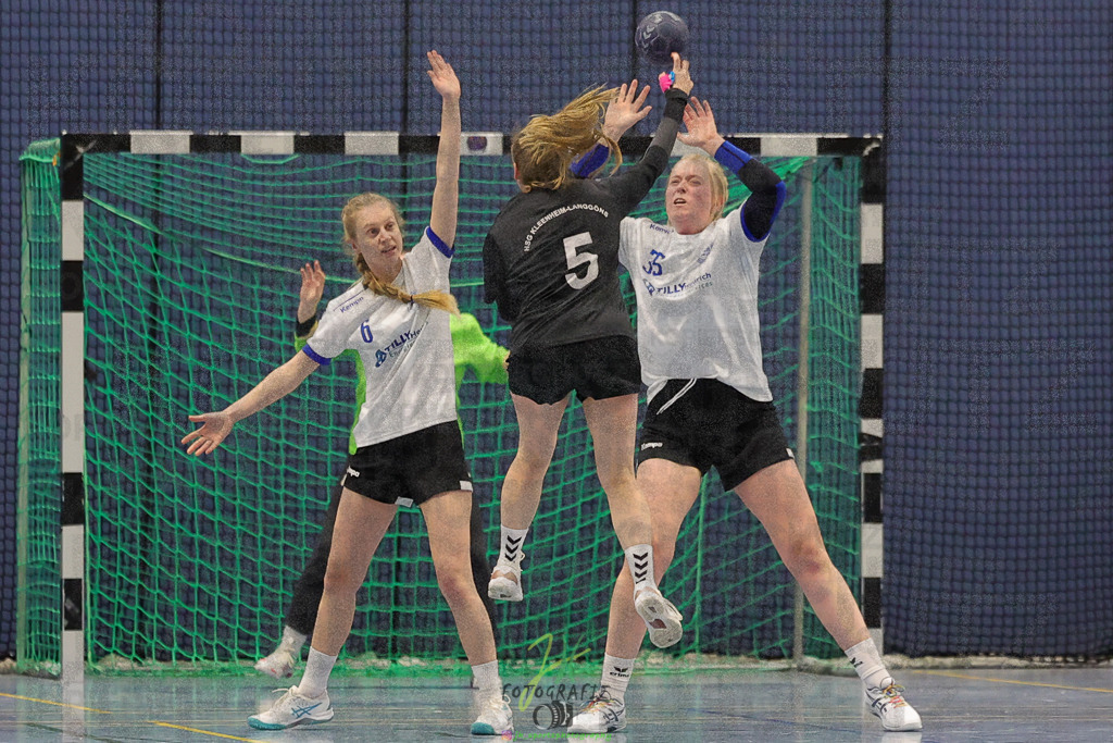 Frauen 2. Bezirksklasse, SG Rechtenbach - HSG Kleenheim/Langgöns III | Frauen 2. Bezirksklasse, SG Rechtenbach - HSG Kleenheim/Langgöns III am 16.11.2024 in Rechtenbach (Sporthalle Rechtenbach)Photo © 2024 - Jörg Heinrich - Realisiert mit Pictrs.com