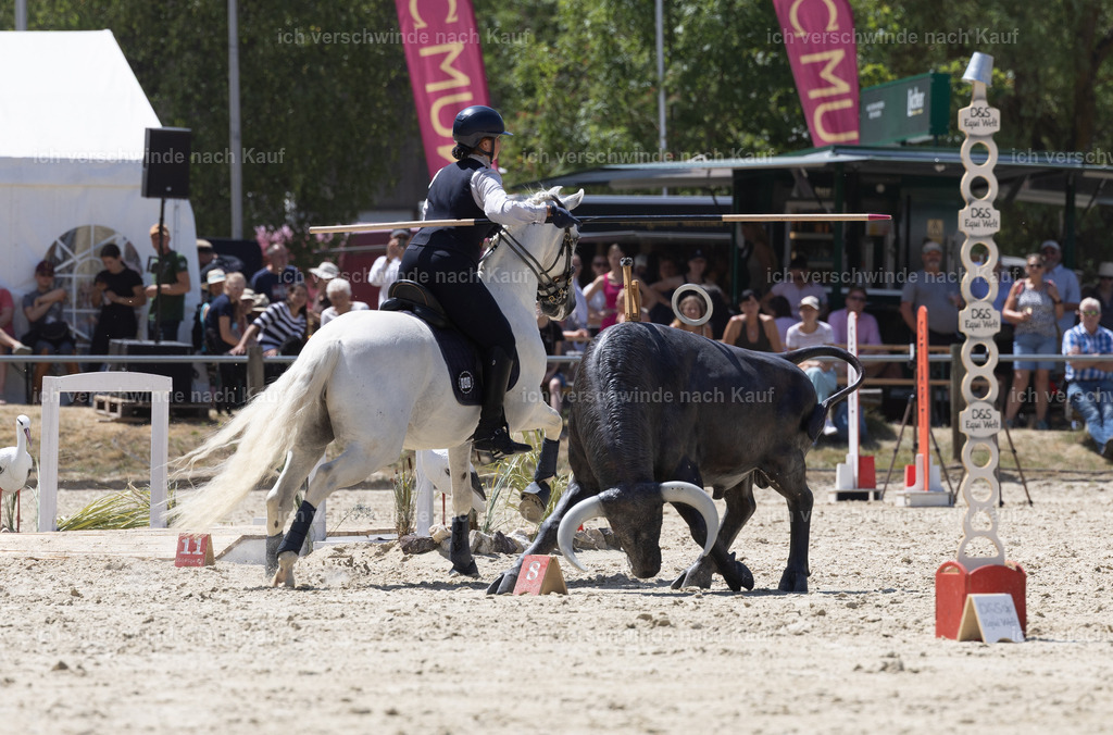 WM_Speed_142_KerstinBernhardt-13 | working equitationturnier fotograf videograf stoibphotography marixx film working equitation deutschland reitsport turnierfotografie eventfotografie equestrian events