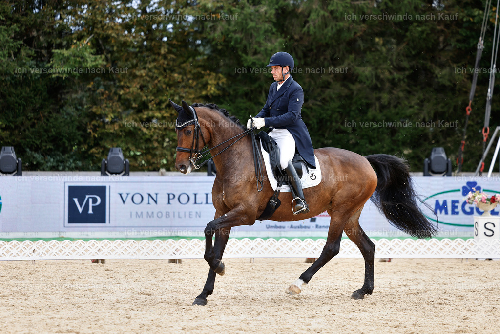 11-226-Dressur S___-StoibPH-1018 | working equitationturnier fotograf videograf stoibphotography marixx film working equitation deutschland reitsport turnierfotografie eventfotografie equestrian events