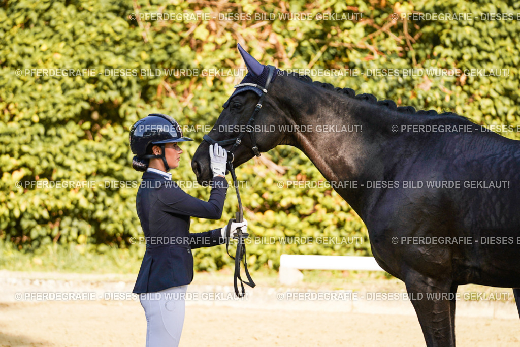 DSC06519 | Pferdegrafie