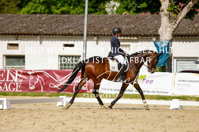 _62_2748 | larahueckfotografie