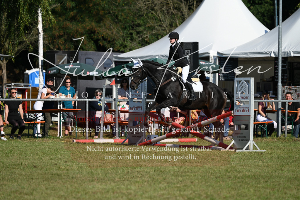 DSC_5135 | Pferde- und Turnierfotografie in Westsachsen. Pferdeportraits, Auftragszeichnungen und intuitive Kunst.