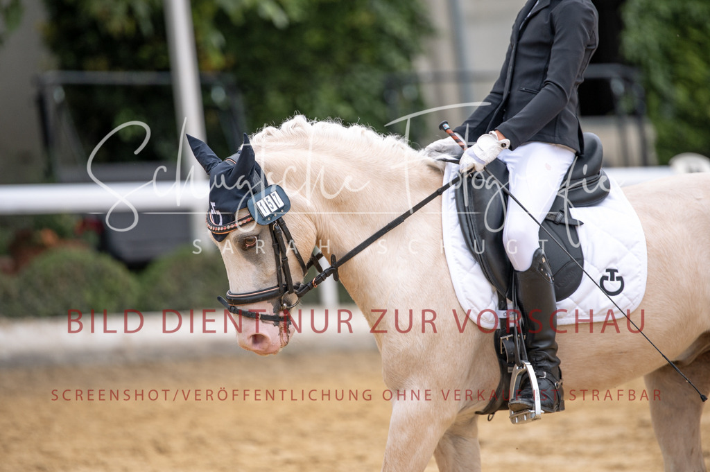 Schugtsche-Aluta25-40.DressurprfA_-445 | Schugtsche Fotografie - Realizzato con Pictrs.com