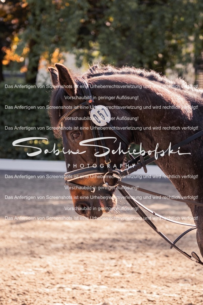 057 | People- und Tierfotografie, Imageaufnahmen, Veranstaltungsfotografie und Wandbilder aus der Natur ★ Made in Germany ✔️ Druck + Downloads ✔️ Naturfotografie in Top Qualität ★ schneller Versand, weltweite Lieferung! - Realisiert mit Pictrs.com