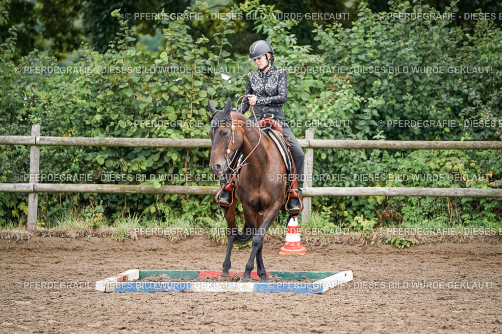 DSC03152 | Pferdegrafie