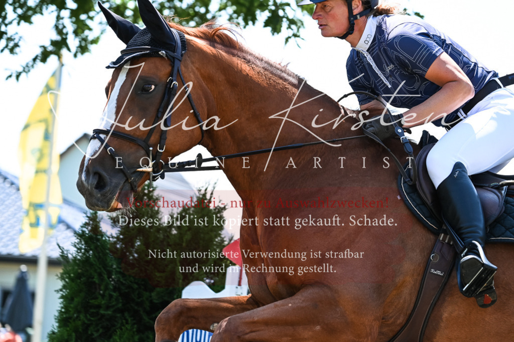 DSC_0141 | Pferde- und Turnierfotografie in Westsachsen. Pferdeportraits, Auftragszeichnungen und intuitive Kunst.