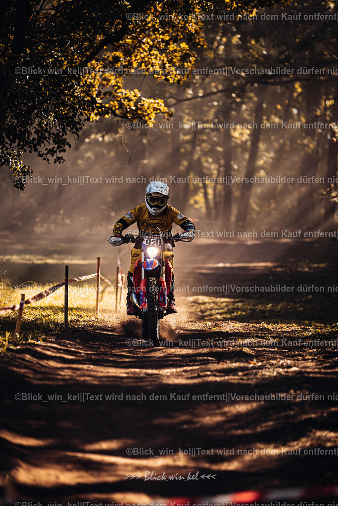 E68A6034 | blick_win_kel