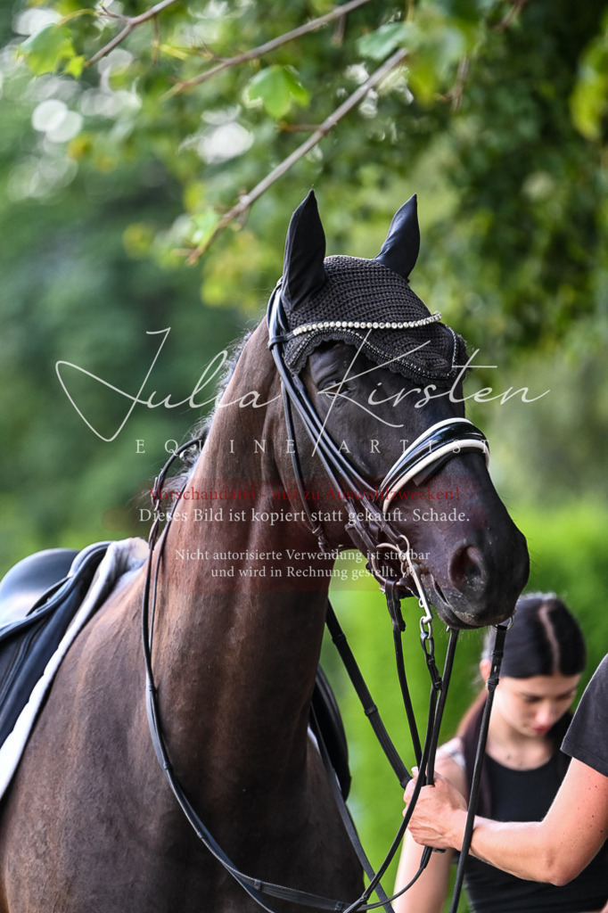 DSC_2778 | Pferde- und Turnierfotografie in Westsachsen. Pferdeportraits, Auftragszeichnungen und intuitive Kunst.