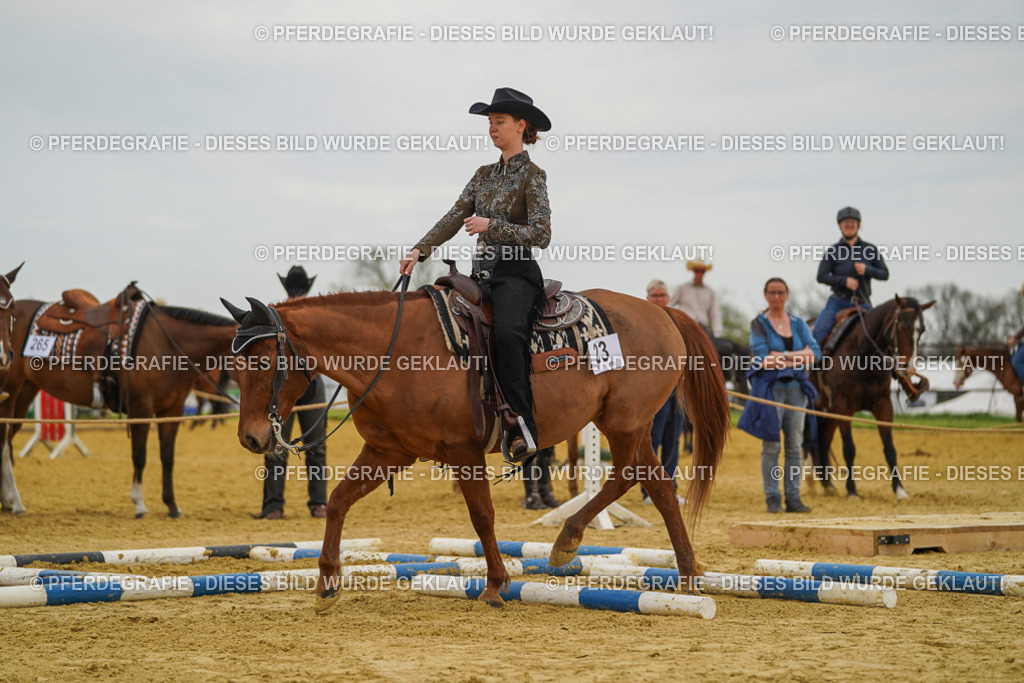 DSC02685 | Pferdegrafie