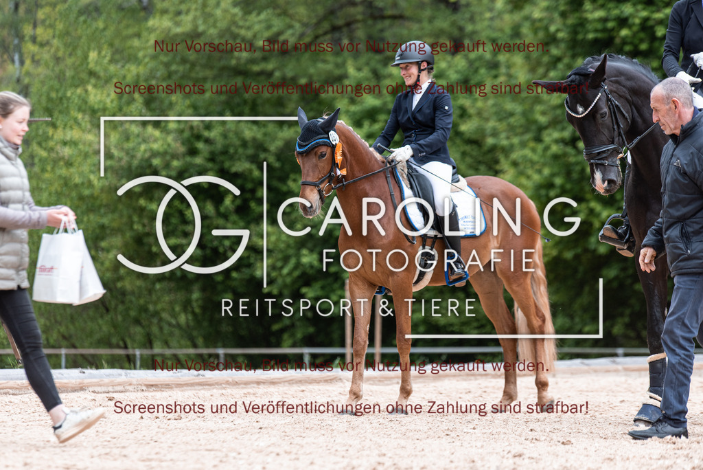 DSC_7105 | Turnierfotografin Carolin Gieschke,Reitsport Turnierfotografie Carolin G Fotografie | Turnierfotos aus Kirchheim/Teck, Esslingen, Stuttgart und dem Bodenseekreis