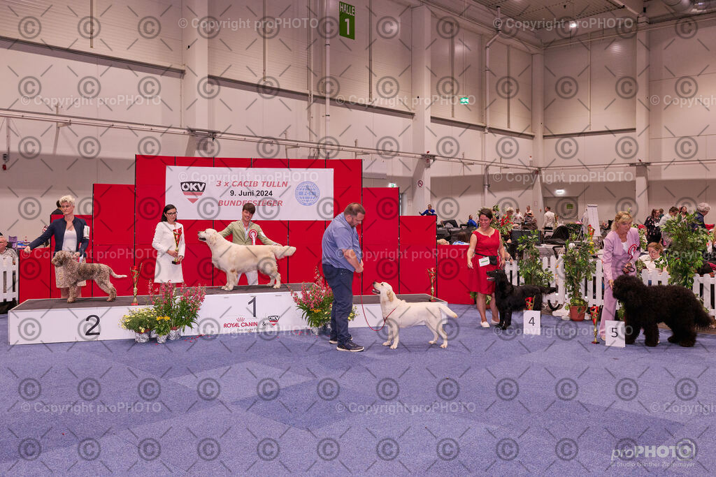 202406_ÖKV-IHA-Tulln24_NZ9_9564 | proPHOTO - Realisiert mit Pictrs.com