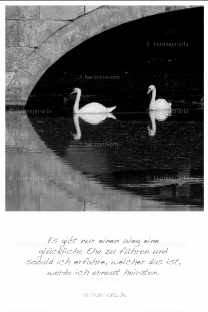 PK_Zitate_10x15_BW-068 | Photo Foto Kunst Art schwarzweiss Bilder Rheine Münster Berlin Blumen 