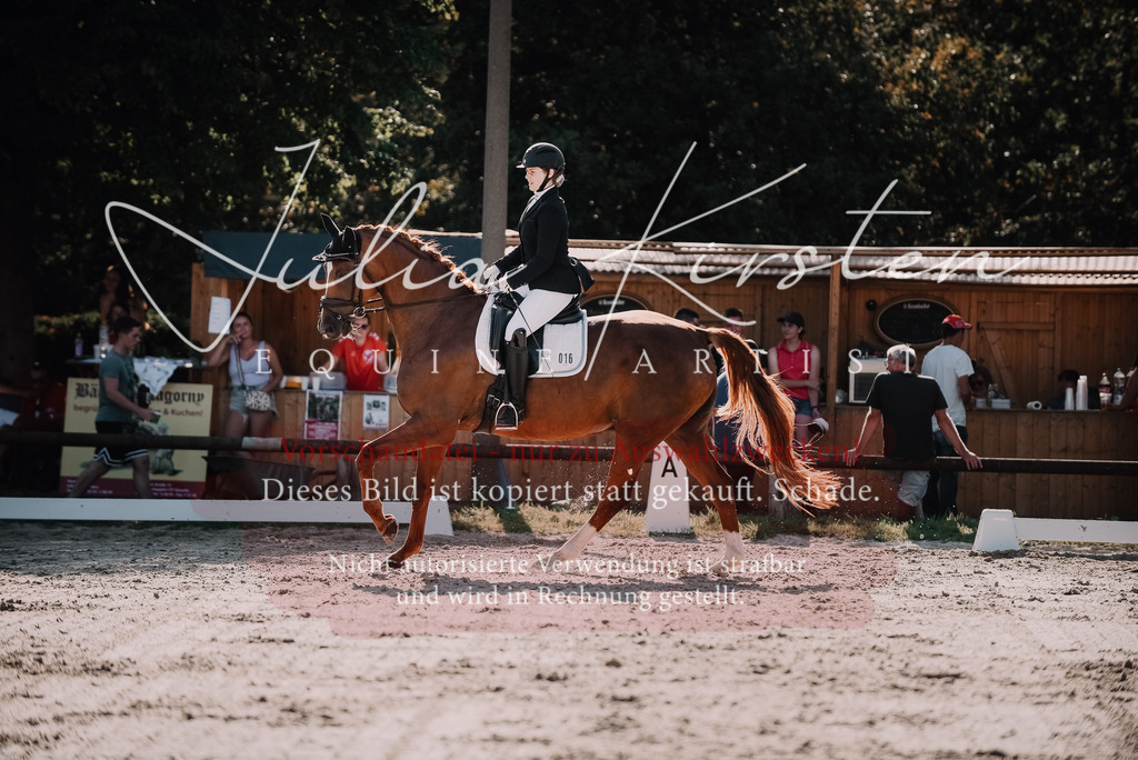 DSC_0448 | Pferde- und Turnierfotografie in Westsachsen. Pferdeportraits, Auftragszeichnungen und intuitive Kunst.