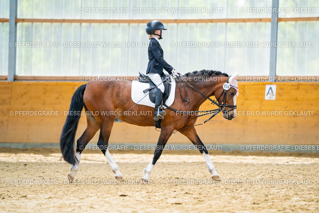 DSC00987 | Pferdegrafie