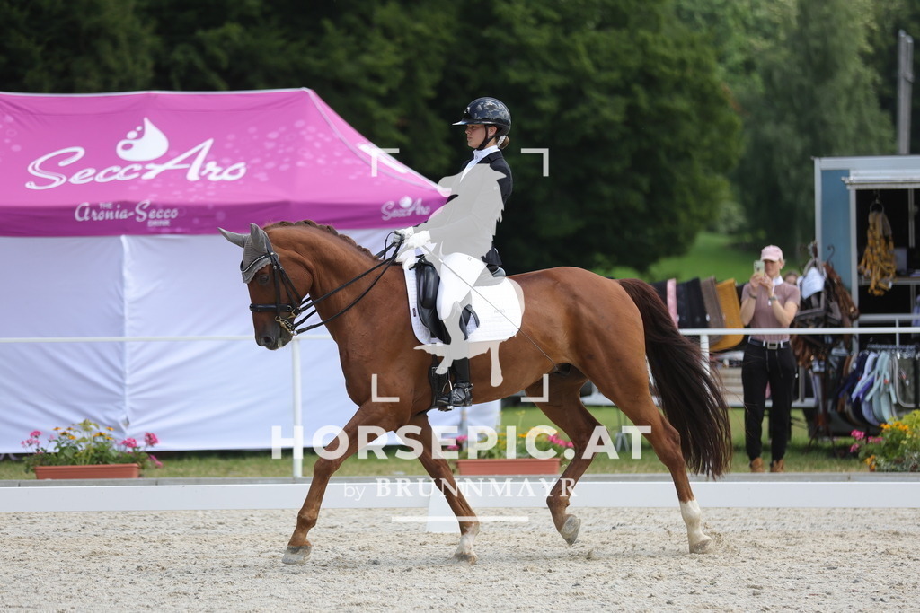 0P6A0548 | Willkommen bei Brunnmayr - Design & Fotografie – Ihrem Spezialisten für Reitturniere und Pferdeveranstaltungen in Oberösterreich, Salzburg und Bayern! Seit über 17 Jahren sind wir leidenschaftlich dabei.