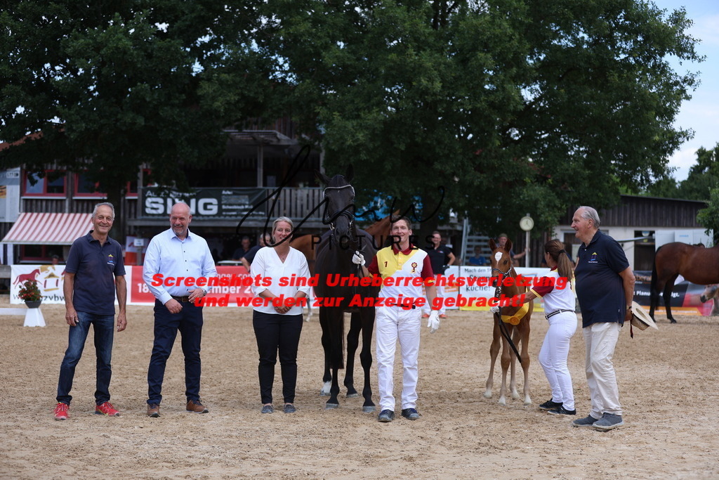 Fohlenschau_Schwäbisch_Hall_dressurbetonte_Fohlen_SIEGERFOHLEN_KN 4_7 | lmwpictures - Realisiert mit Pictrs.com