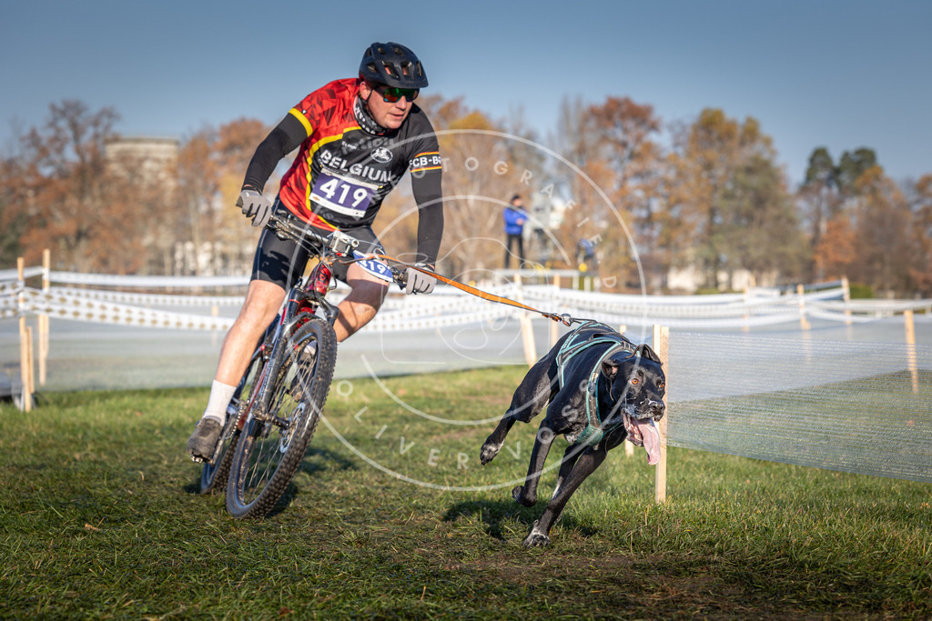 CaniXpix_0L8A4136 | Hundefotografie, Tierfotograf, Pfotenfotografie, Fotoshooting Hund, Hunde Portrait, Hundesport, Hundeportraits, Heideshooting, Hunde, Sportfotograf, Hundefotograf, Turnierhundsport, THS,  - Realisiert mit Pictrs.com