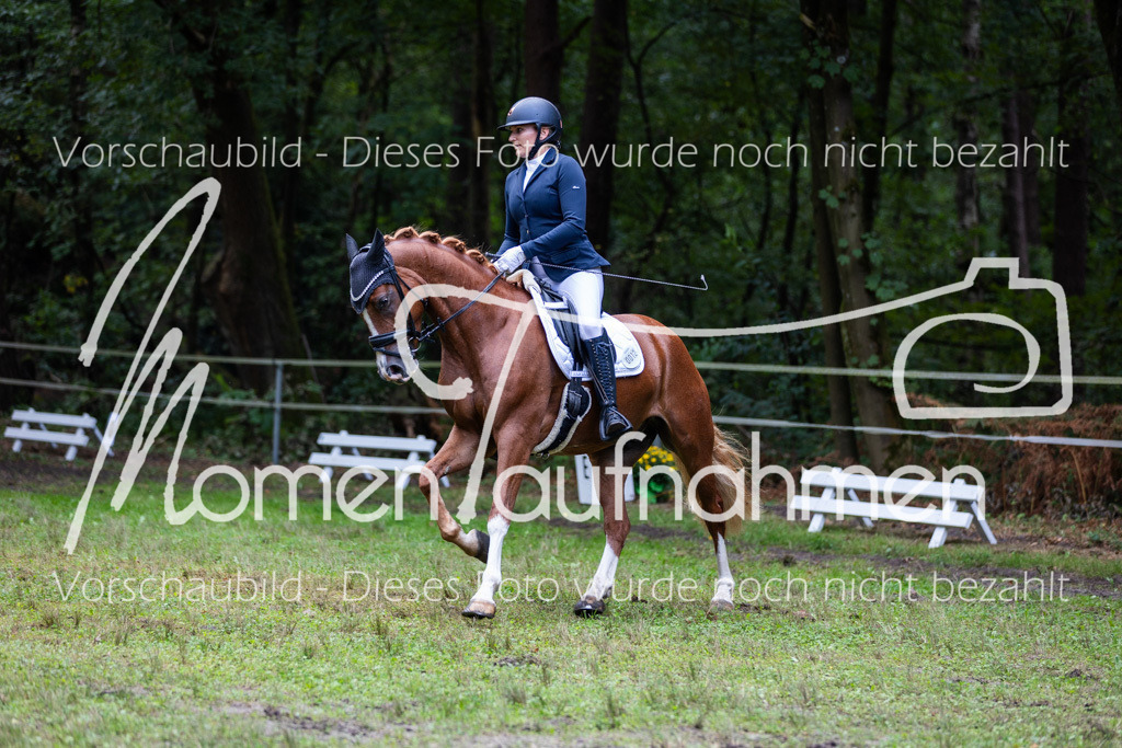 HB-A-Dressur-160 | MomenTaufnahmen Pferdesportfotos