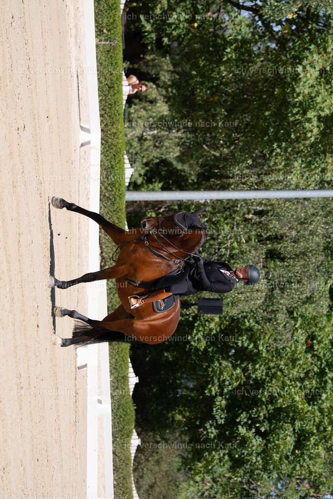 WS_DR_97_sinafilmart_IN08389 | working equitationturnier fotograf videograf stoibphotography marixx film working equitation deutschland reitsport turnierfotografie eventfotografie equestrian events