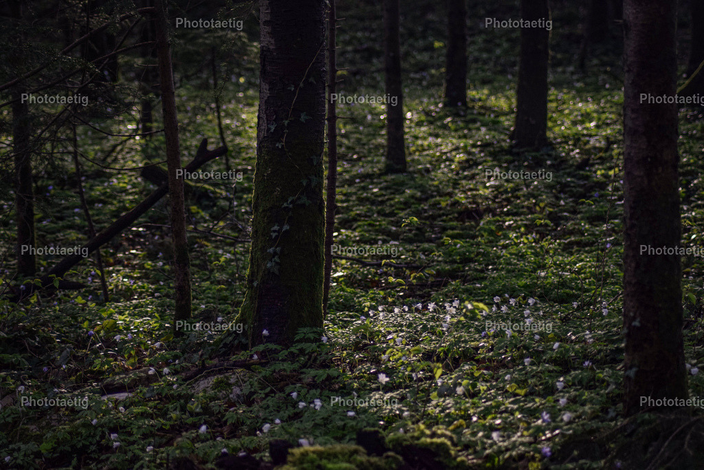 IMG_4143 | phototaetig