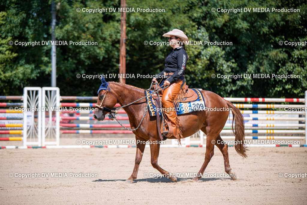 ZS1_1157 | dv-media-shop - Realisiert mit Pictrs.com