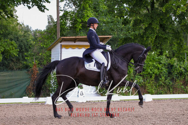 DKP41670 | Turnierfotos kaufen im Webshop von Daniel Kuhl Photography – entdecke professionelle Reitsportfotos aus Turnieren & Events. Hochwertige Turnierbilder online bestellen & sichern. Jetzt Fotos von Reitsportturnieren kaufen!