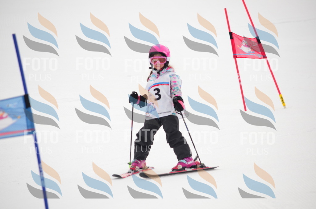 B9683 | holidayphoto