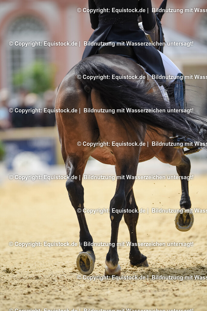 20250607_1_GP-Tour_Dressage_0137 | Foto: Thomas Hartig