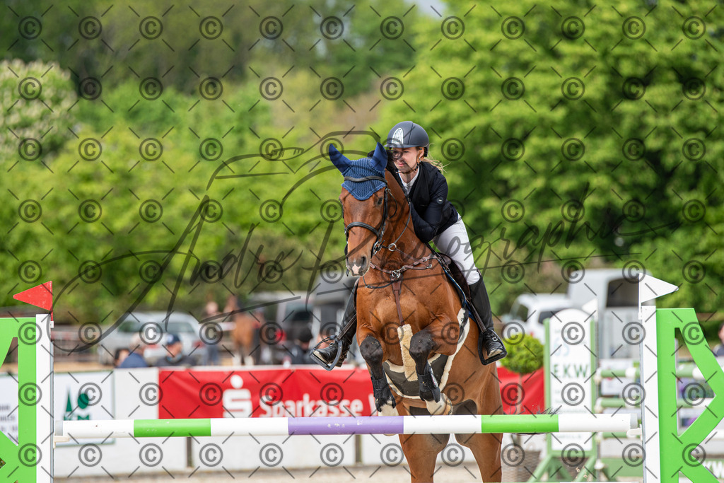 KPT_9862 | andre_photographic