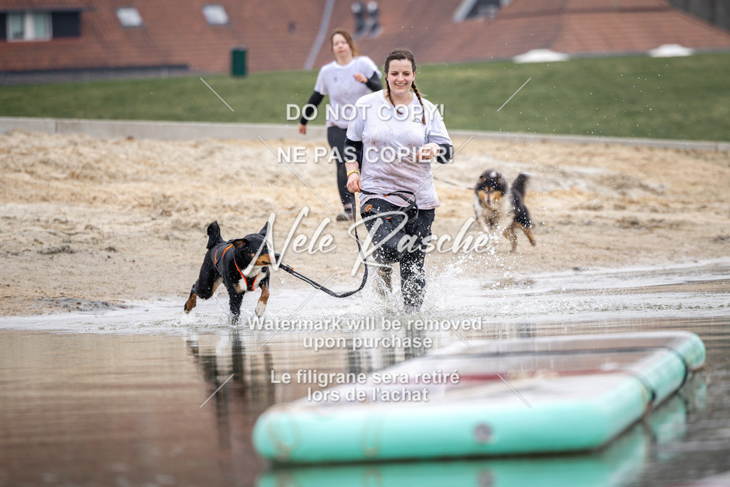 nelerasche_Hulsbeek_Sa1130-1230_361 | nelerasche