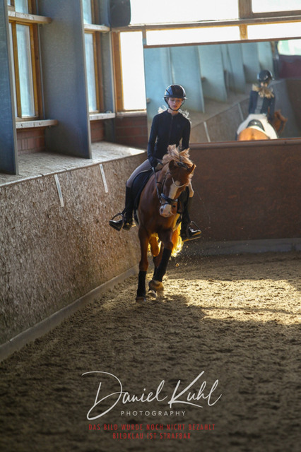 DKP42162 | Turniersportfotografie; Pferdefotografie; Dressurfotografie
