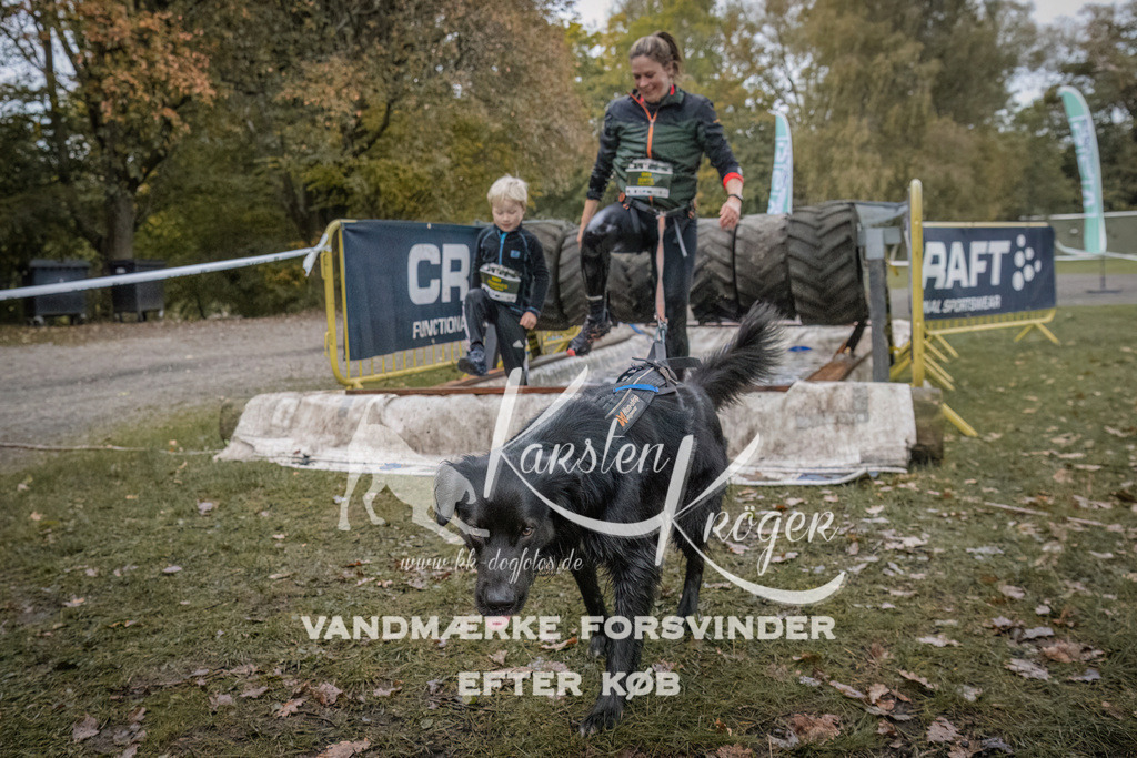 1656_ZZ94475 | kk-dogfotos