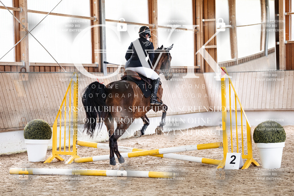 CK902623 | Turnierfotografie Pferdefotografie Trier Rheinland-Pfalz Pferdesport Reitsport Tierfotografie Sportfotografie Pferdevideo Pferdevideografie Equestrianvideography equestrianphotography  - Realisiert mit Pictrs.com