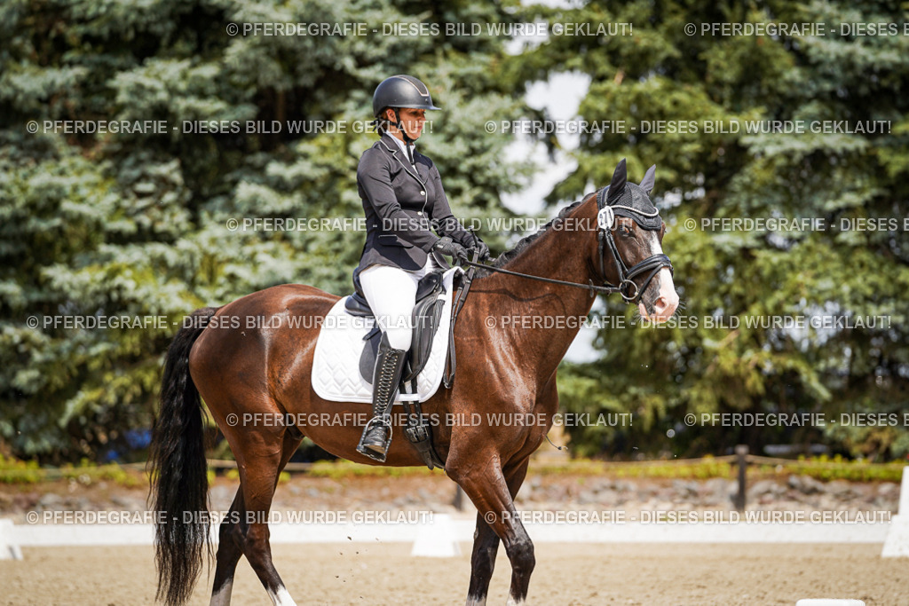 DSC03191 | Pferdegrafie