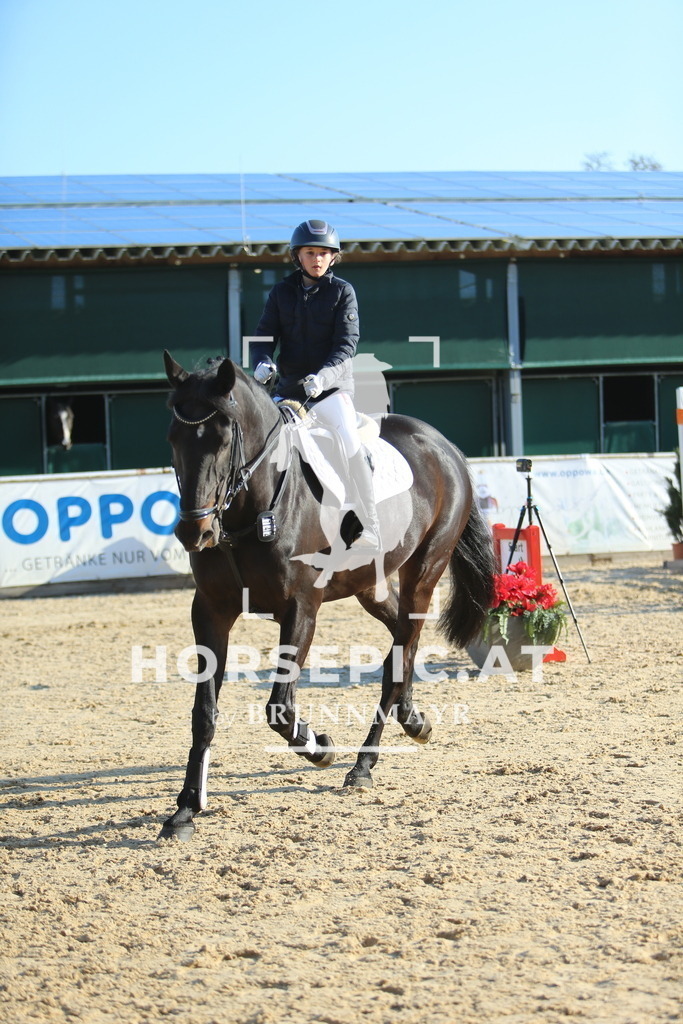 DL2Q1898 | Willkommen bei Brunnmayr - Design & Fotografie – Ihrem Spezialisten für Reitturniere und Pferdeveranstaltungen in Oberösterreich, Salzburg und Bayern! Seit über 17 Jahren sind wir leidenschaftlich dabei.
