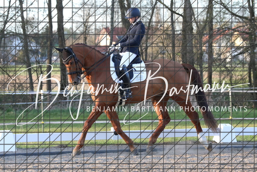 AZ2A5832 | Benjamin Bartmann Photomoments