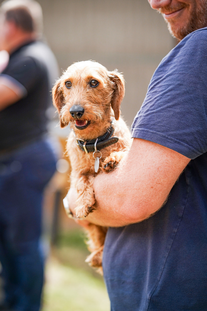 DSC07460 | Pferdegrafie