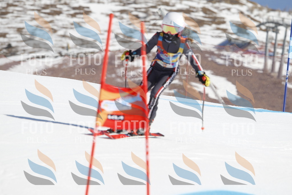 _U3G8587 | holidayphoto