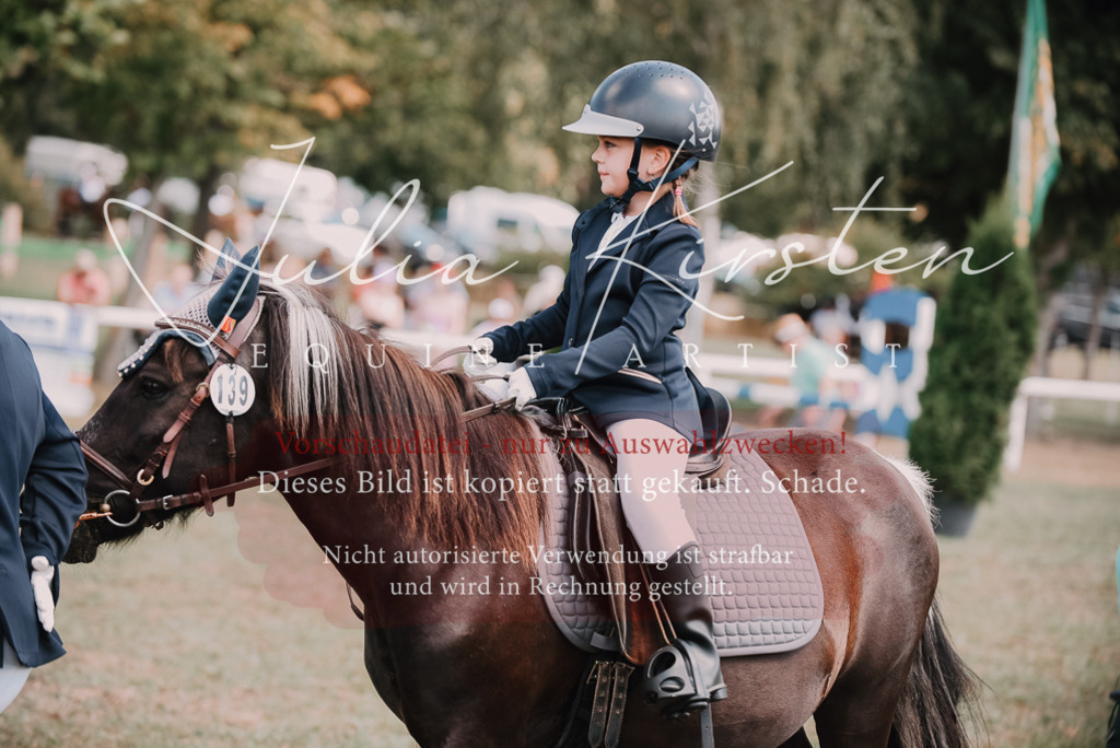 DSC_6078 | Pferde- und Turnierfotografie in Westsachsen. Pferdeportraits, Auftragszeichnungen und intuitive Kunst.