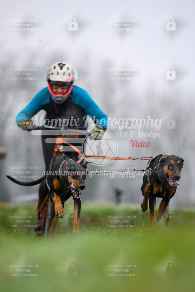 MompixPhotography_CDF2023_FFST_Di_DS2-24 | PayLife