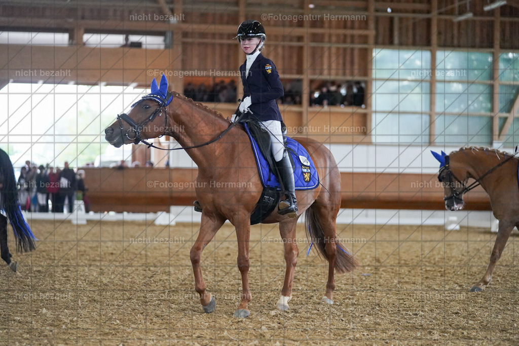 20240825-FAH09225 | Turnierbilder, Reitsportfotos, LAPO, Landesponyturnier, Turnierfotografen Bayern