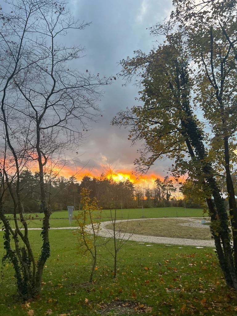 IMG_8938 | ace - Realisiert mit Pictrs.com