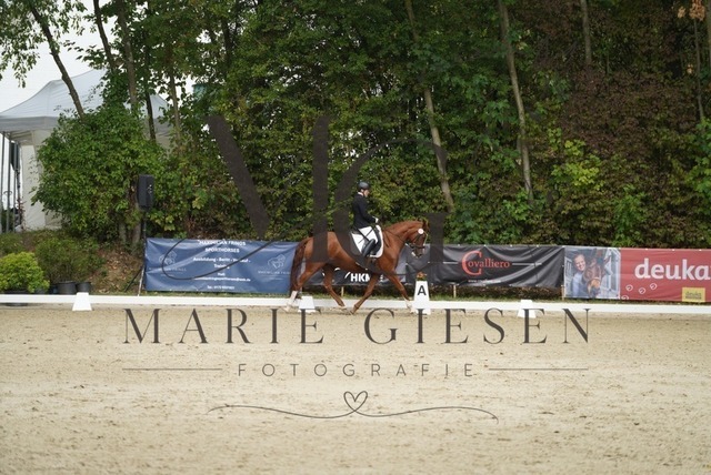 VAN01364 | Marie Giesen Fotografie - Realisiert mit Pictrs.com