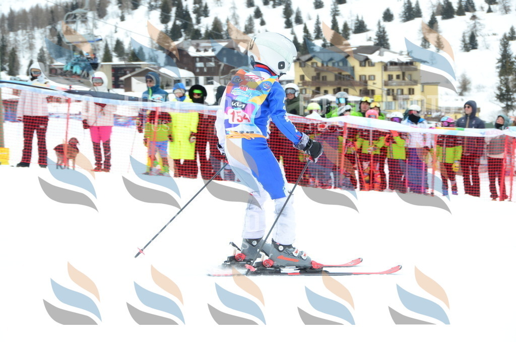 DSC_1477 | holidayphoto