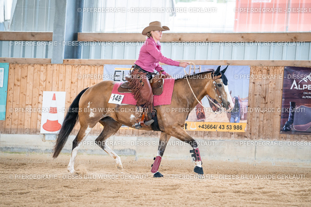 DSC08914 | Pferdegrafie