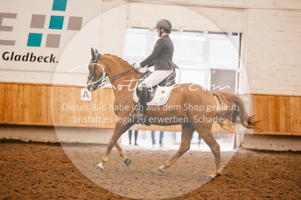 3I6A2837 | Stimmungsvolle Portraits und Reitsportfotografie im Ruhrgebiet und im Münsterland.

Pferdefotografie, Hundefotografie, Tierfotografie, Reportagen, Portraits von Tier und Mensch, Turnierfotografie in Bochum, Recklinghausen, Marl, Haltern am See, Dülmen.. - Realisiert mit Pictrs.com