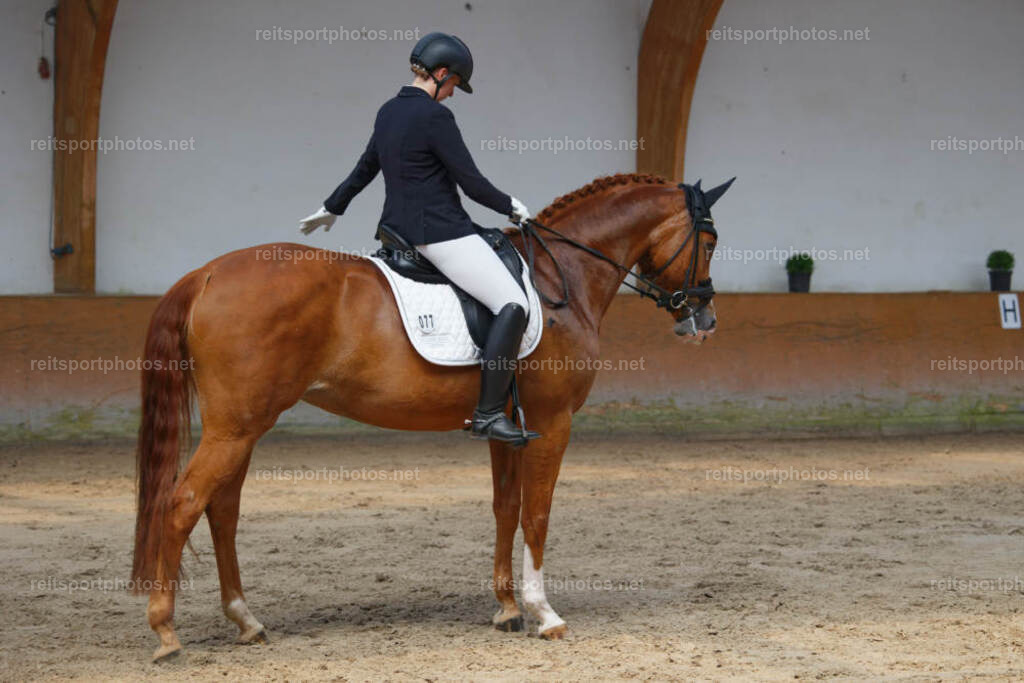 JHE_2148 | JoYa Fotografie - Realisiert mit Pictrs.com