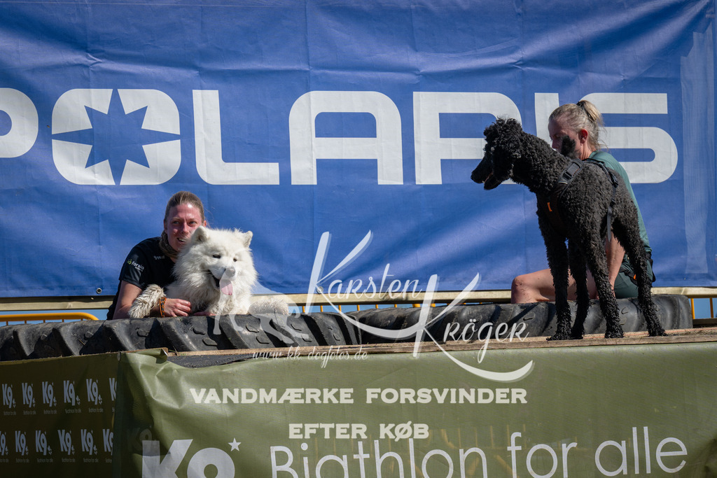 1118_ZZ91209 | kk-dogfotos