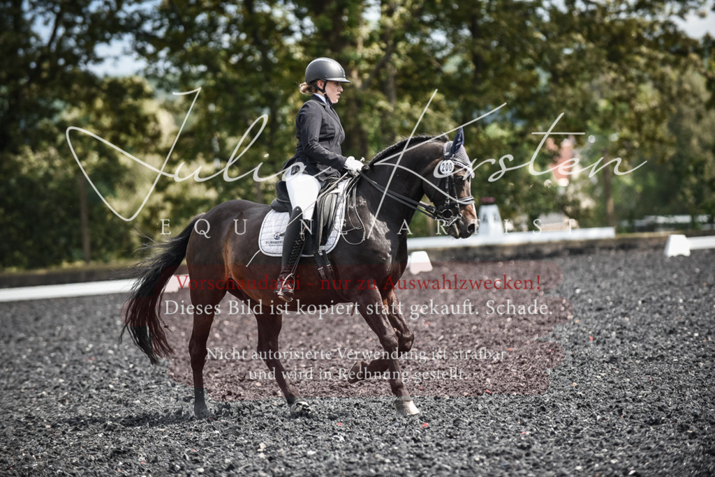 DSC_5111 | Pferde- und Turnierfotografie in Westsachsen. Pferdeportraits, Auftragszeichnungen und intuitive Kunst.